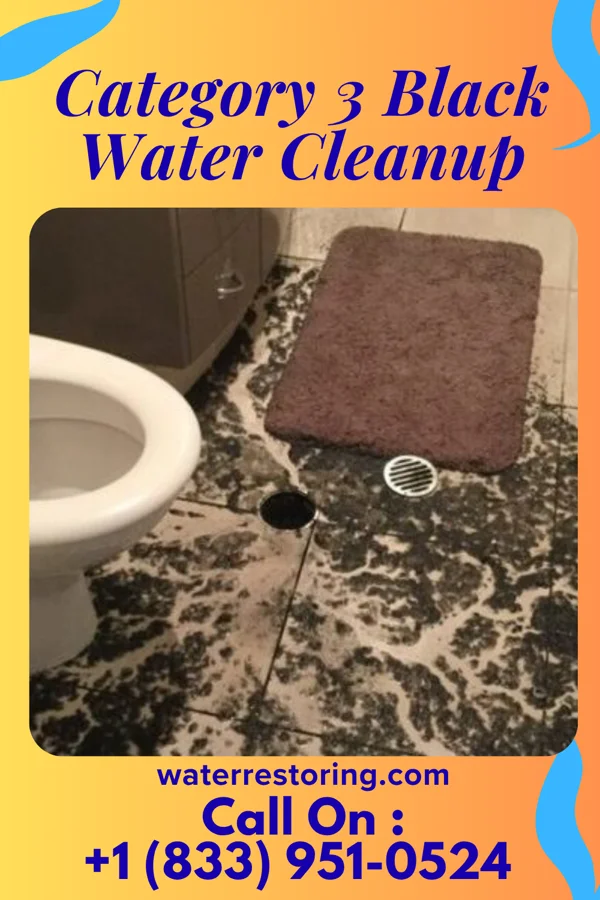 Category 3 Black Water Cleanup in Marcus Hook, PA