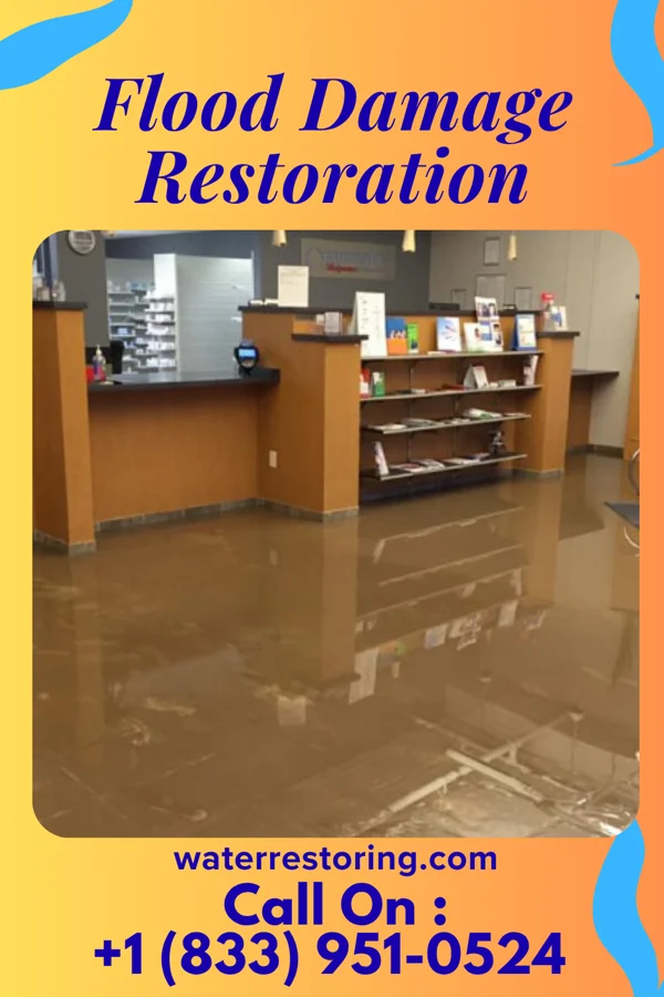 Flood Damage Restoration in Marcus Hook, PA