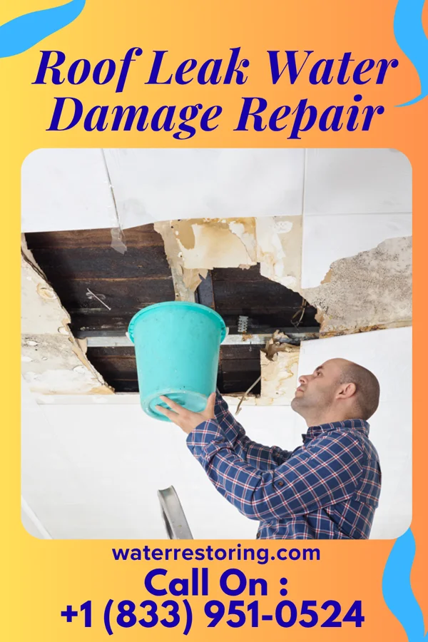 Roof Leak Water Damage Repair in Marcus Hook, PA
