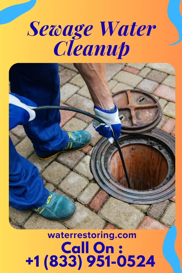 Sewage Water Cleanup in Marcus Hook, PA