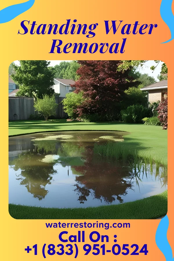 Standing Water Removal in Marcus Hook, PA